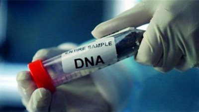 بالتفاصيل .. الشروط اللازمة لإقامة دعوي إثبات نسب