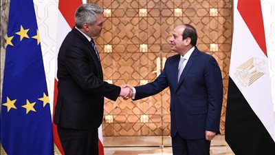 ننشر كلمة الرئيس السيسي في المؤتمر الصحفي مع مستشار النمسا