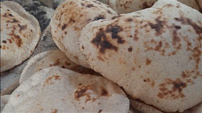 محافظ القليوبية: تحرير 88 محضر مخالفة والمرور على 13 سنتر دروس خصوصية مخالفة