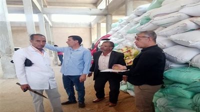 صوامع وشون محافظة البحيرة تستقبل 37 ألف طن قمح