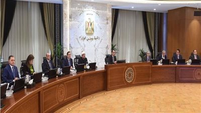 الحكومة: 5500 جنيه سعر الضمان لتوريد قنطار القطن طويل التيلة