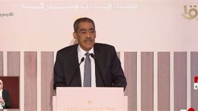 المنسق العام للحوار الوطنى: الحكومة مؤسسة دستورية لها احترامها وصلاحياتها