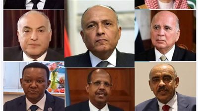 شكري يجري اتصالات هاتفية مع وزراء خارجية خارجية السودان والسعودية والعراق والجزائر والأردن وجيبوتي وكينيا