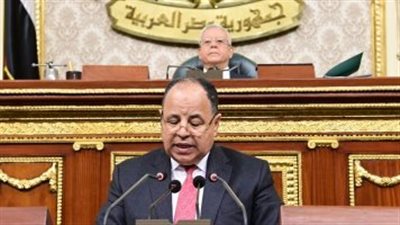 وزير المالية: لجنة برئاسة مصطفى مدبولى لوضع استراتيجية للهيئات الاقتصادية
