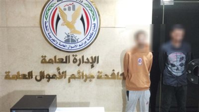 ضبط شخصين بتهمة الإستيلاء على بيانات بطاقات الدفع الإلكترونى 