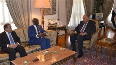 سامح شكرى يستقبل وزير الشئون الخارجية والتعاون والموريتانيين بالخارج