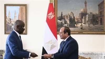 الرئيس السيسى يتسلم رسالة من نظيره الموريتانى تشيد بدور مصر الرائد على المستويين العربي والأفريقي