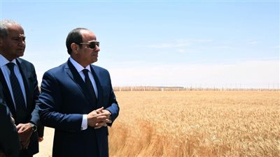 حلم مصري يتحقق بعد 20 عام.. تفاصيل جديدة حول مشروع توشكى 