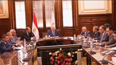 وزير الزراعة يتابع مع قيادات الوزارة حصاد القمح  ويوجه بتشجيع المزارعين على توريد المحصول 