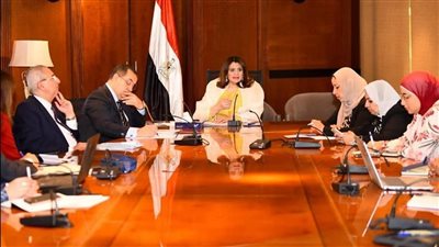 وزارتا الهجرة والتعليم العالي ينسقان الجهود لتيسير التحاق الطلاب العائدين من الخارج بالجامعات الخاصة والأهلية 