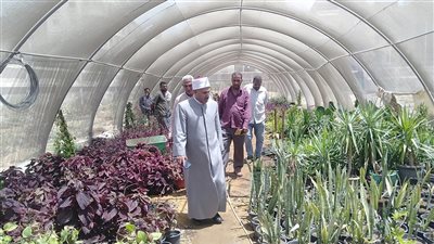 رئيس المنطقة الأزهرية بالسويس يتفقد الصوبة الزراعية