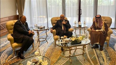 وزير الخارجية يشارك في الاجتماع الأول لمجموعة الاتصال العربية الوزارية المعنية بالوضع في السودان