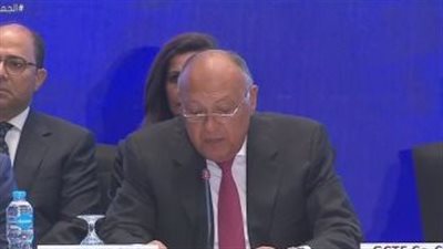 وزير الخارجية: أزمة سوريا أثبتت أن الحل السياسى هو السبيل لإنهائها