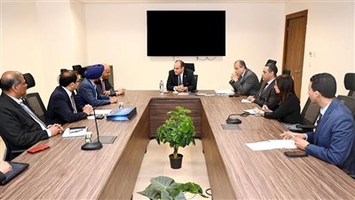 وزير التجارة يبحث مع شركتين من كبريات شركات تصنيع المركبات فرص الاستثمار في السوق المصري 