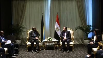 رئيس الوزراء يلتقى نائب رئيسة تنزانيا