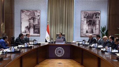 رئيس الوزراء يترأس اجتماع المجلس الاستشاري الاقتصادي