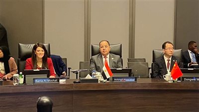 وزير المالية:القطاع الخاص «قاطرة نمو» الاقتصادات الناشئة