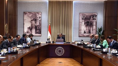 رئيس الوزراء يوجه بإنشاء منصة إلكترونية لتأسيس الشركات الناشئة