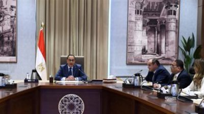 رئيس الوزراء يلتقى الرئيس التنفيذى لشركة 