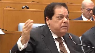 أبو العينين: القوات المسلحة المصرية حمت دول أوروبا من هجرة الإرهابيين 