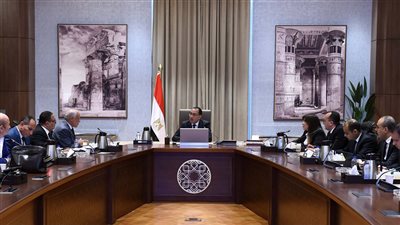 رئيس الوزراء يتابع جهود تطوير المنطقة المحيطة بالمتحف المصري الكبير