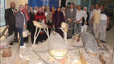  علوم البحار بالسويس ينظم ورشة عمل عن معالجة مياه صرف المزارع السمكية