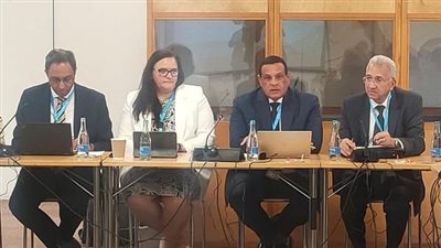 وزير التنمية المحلية يشارك في جلسة