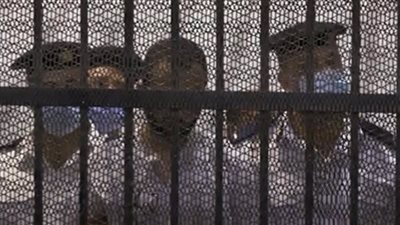 عاجل.. تنفيذ حكم إعدام قاتل نيرة أشرف بسجن جمصة فى الدقهلية