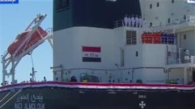 مشيداً بمناخ الأعمال في مصر.. تفاصيل لقاء السيسي بـ الرئيس التنفيذي لشركة