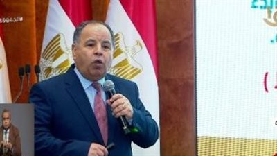 وزير المالية: الاقتصاد المصري يمتلك القدرة على جذب التدفقات الأجنبية