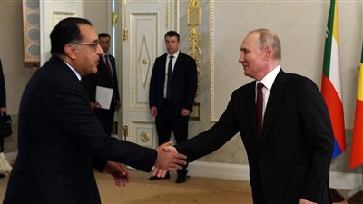 مصر تؤكد دعمها القوى لمواصلة الجهد الإفريقى لتسوية الأزمة الروسية الأوكرانية