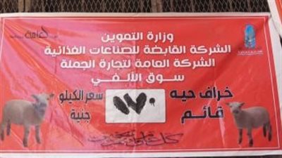 التموين تطرح خرافا حية للأضاحي بسعر 170 جنيها للكيلو القائم