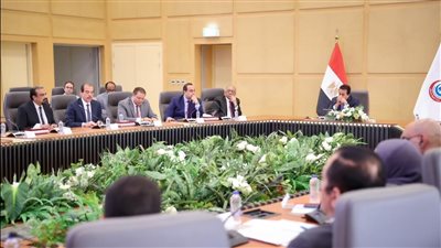 وزير الصحة يتابع أعمال اللجنة العليا لـ«المؤتمر العالمي للسكان والصحة والتنمية»
