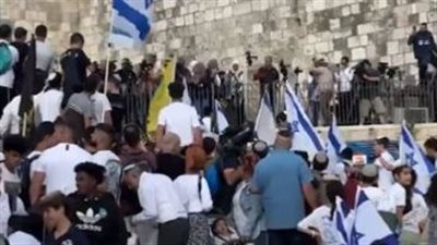 مُستوطنون إسرائيليون يحرقون مُنتزهًا فلسطينيًا وآخرون يقتلعون أشجارًا جنوب الضفة الغربية