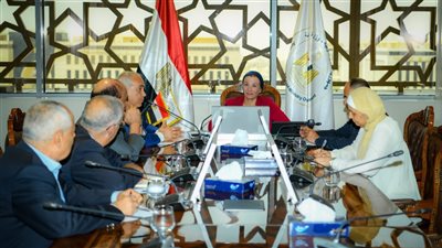 وزيرة البيئة تناقش آليات دعم تنفيذ مشروع انتاج الأخشاب ال MDF في مصر