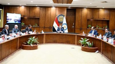 وزير البترول يلتقي نائب الرئيس التنفيذي لشركة كاتربيلر