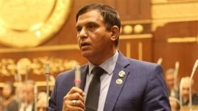 حماة الوطن: مصر والصين شراكة نحو التنمية المستدامة