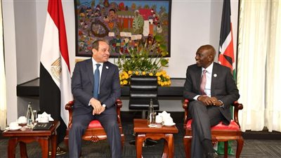 نص كلمة الرئيس السيسي  في البند الخاص بدور وكالة الاتحاد الأفريقي الإنمائية