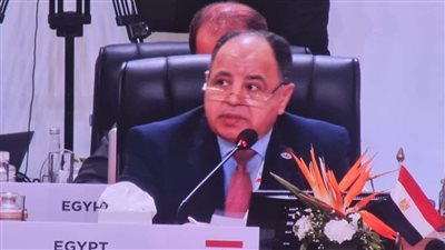 وزير المالية: البلدان النامية تتطلع إلى دعم أقوى لاستيداء مستحقاتها من الضرائب الدولية