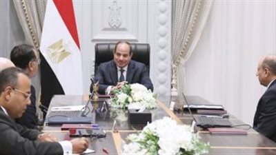 الرئيس السيسى يتابع الاستراتيجية المستقبلية لقطاع الطيران المدنى