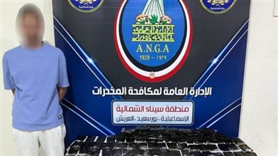 بنطاق 3 محافظات.. ضبط تشكيل عصابي بتهمة الإتجار في المواد المخدرة
