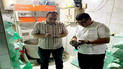 تموين الدقهلية.. ضبط مخابز مخالفة فى مركزى طلخا  ونبروة