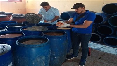 صحة الشرقية: ضبط وإعدام أكثر من ٦٨ طن أغذية و٤٣٤ منشأة مخالفة خلال شهر 