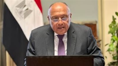 الخارجية تستدعى سفيرة الدنمارك بسبب تكرار أحداث حرق نسخة من المصحف