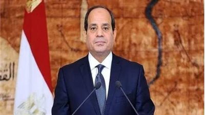 السيسي: نعمل على توفير العملة الصعبة ولن نتوقف عن توفير احتياجاتنا الأساسية