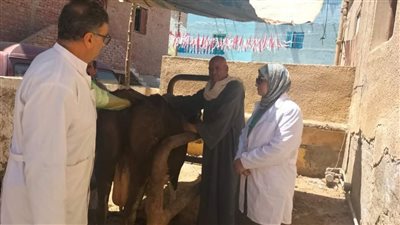 محافظ الفيوم: تحصين 47 ألف رأس ماشية ضد 