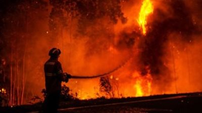 حرائق الغابات ترفع 