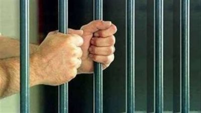 كشف تفاصيل مقطع فيديو لمحاولة إلقاء كلب من شرفة إحدي الشقق السكنية