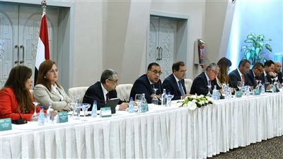 وزراء الكهرباء والبترول والتخطيط يستعرضون إمكانات وخطط إنتاج الطاقة المتجددة والهيدروجين الأخضر 