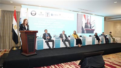 هالة السعيد: تحسين جودة حياة الطفل المصري أهم استثمار للدولة في صناعة المستقبل